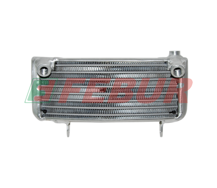 Radiatore OLIO STRADA Ducati Hypermotard